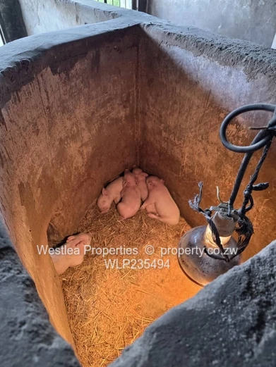 An opportunity not to miss