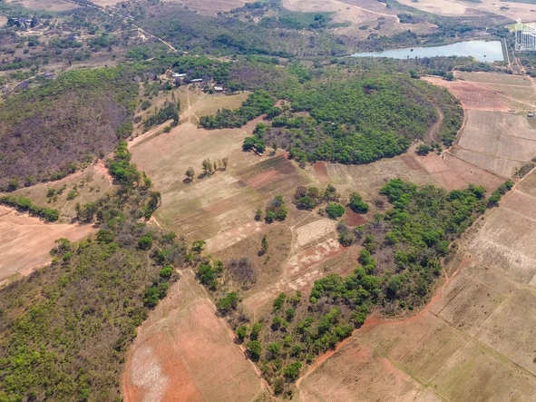 Farm & Agricultural Land