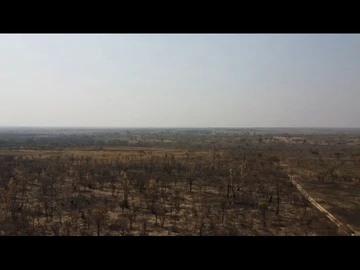 Farm & Agricultural Land