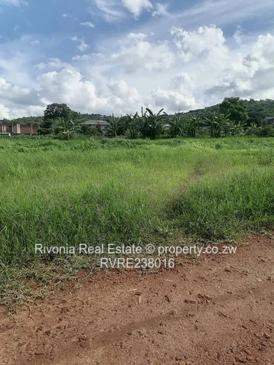 Glen Lorne stand 2000sqm 