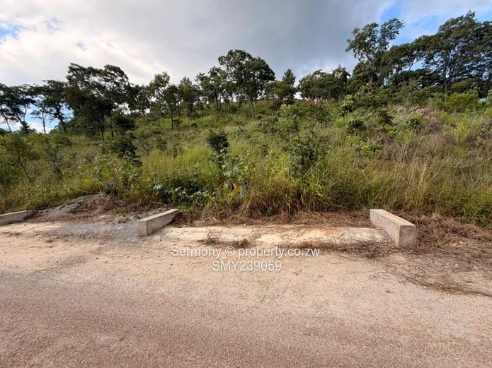 Prime Carrick Creagh Estate Stands For sale