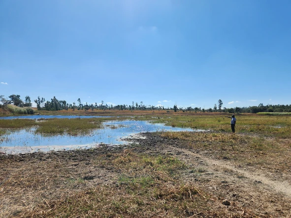 Farm & Agricultural Land