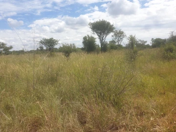 Farm & Agricultural Land