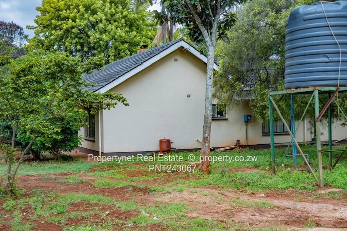 Renovator’s Dream!!!