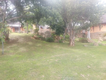 Farm & Agricultural Land