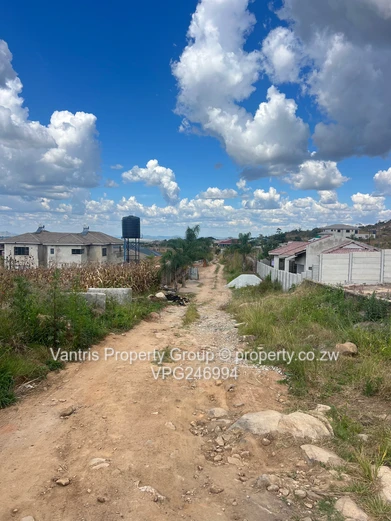 Palm village stands for sale !! 