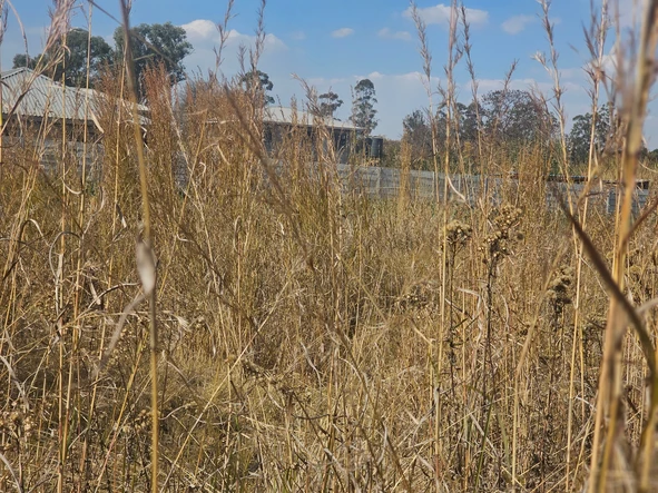 Commercial & Industrial Land