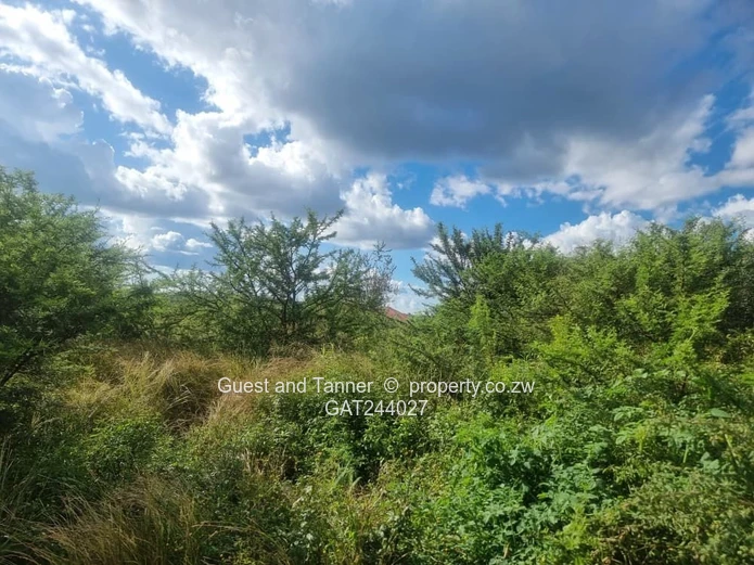 4000m² Willsgrove Stand — Spacious, Green & Ready