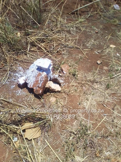 An opportunity not to miss