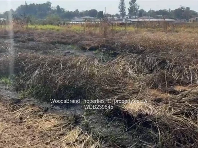 Prime Residential Stand In Glaudina (Sole Mandate)