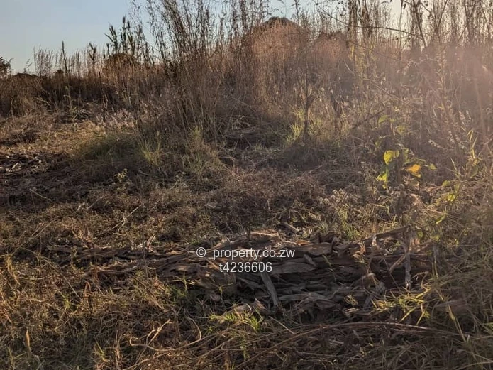 Norton knowe stand for sale