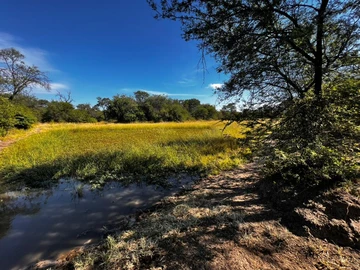 Farm & Agricultural Land