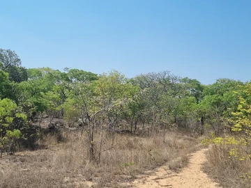 Farm & Agricultural Land