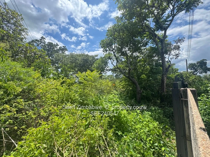 New Listing. Expansive Residential Land In Glen Lorne (Sole Mandate)