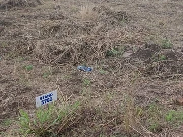 Stands & Residential Land
