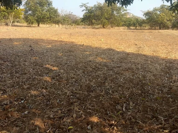 Farm & Agricultural Land