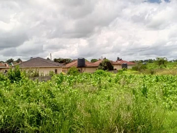 Stands & Residential Land