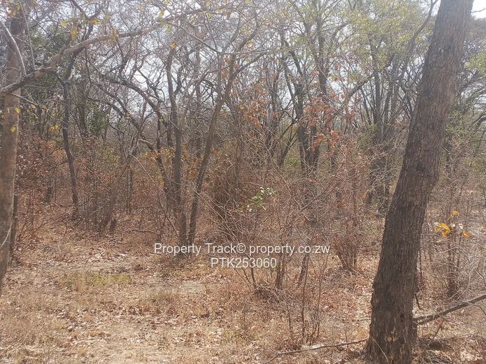 Prime 20-Agro-residential plot!