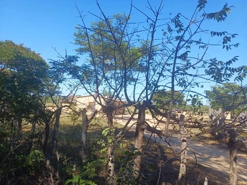 Farm & Agricultural Land