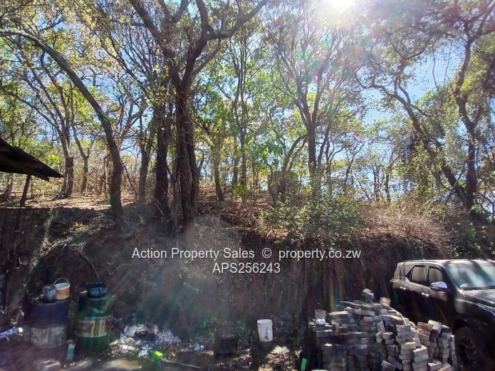 6936 Square Meters Of Land! 
