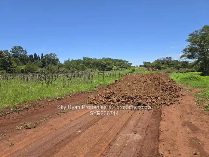 Tynwald Stands For Sale 