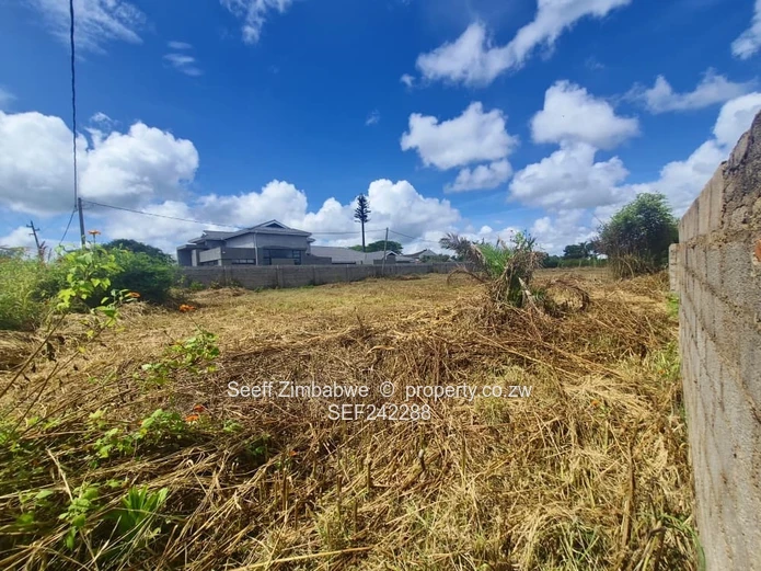 Prime 1600 m2 Serviced Stand — Main Road Frontage, Walled, Marlborough