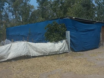 Farm & Agricultural Land