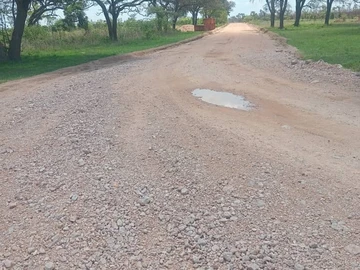 Farm & Agricultural Land