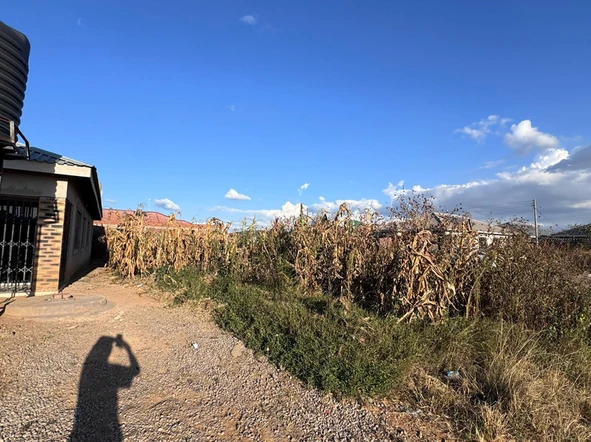 Stands & Residential Land