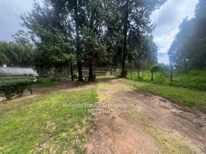 Property in Juliasdale, Nyanga. 