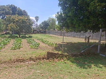 Stands & Residential Land