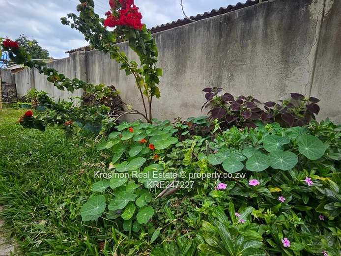 Cherutombo Gated walled 3-Bed with Garden, En-Suite & Decorative Ceilings — Marondera (Sole Mandate)