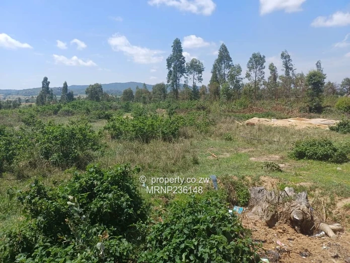 Headlands Plot for sale 