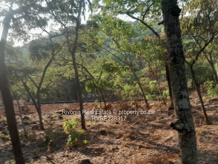 Preferred Investment