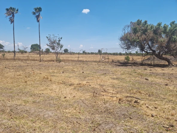 Farm & Agricultural Land