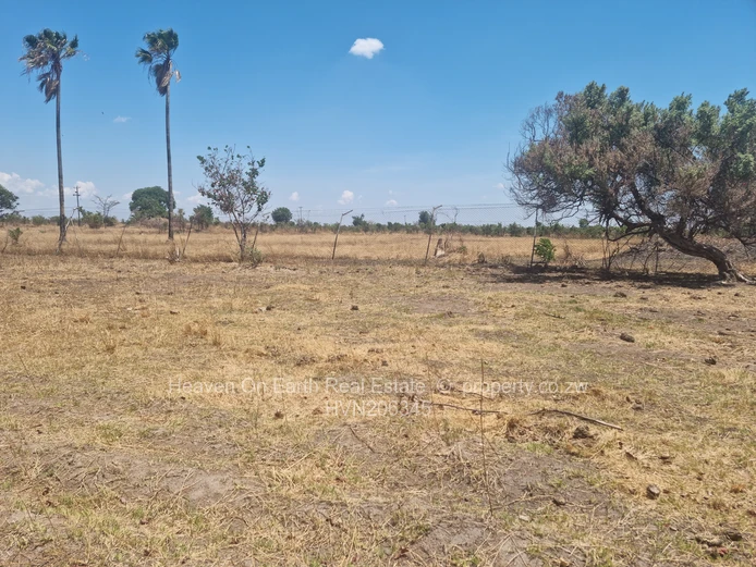 Beautiful farm for sale