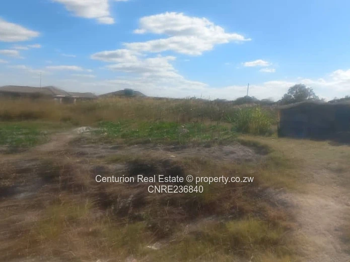 Selous Farm for Sale