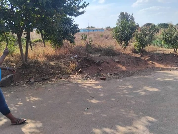 Commercial & Industrial Land