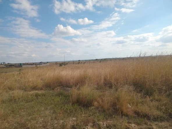 Farm & Agricultural Land