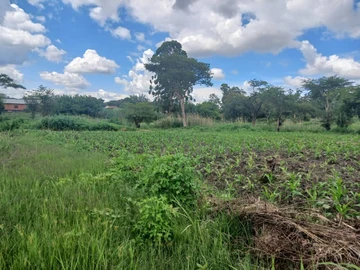 Commercial & Industrial Land