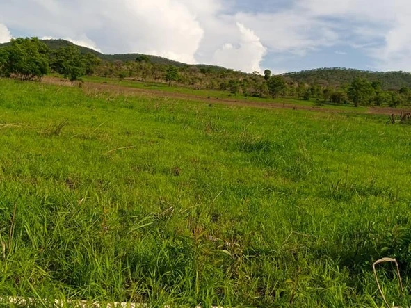 Farm & Agricultural Land