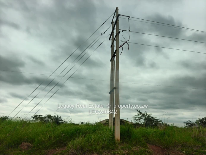 Haydon Park Gated Community Stands For Sale 