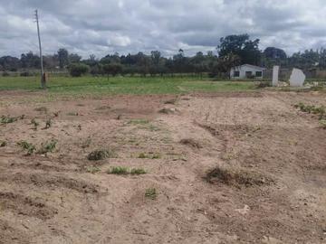 Farm & Agricultural Land