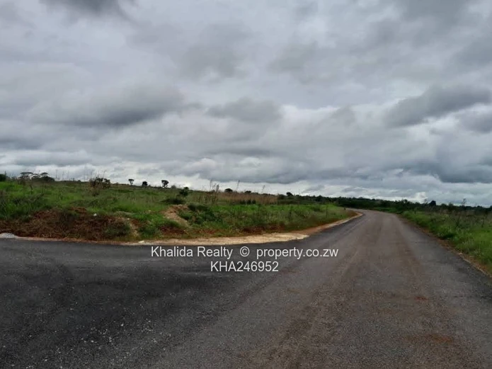 Pomona Nyeredzi Stand For Sale In Phase 2