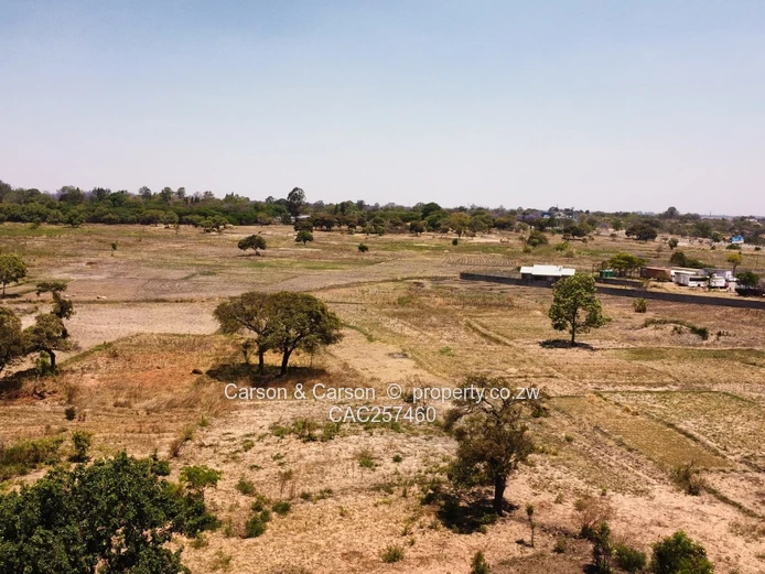 Commercial Stands -Airport Road Frontage 