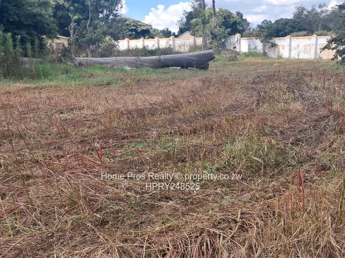 Cluster Stands for Sale In Pomona