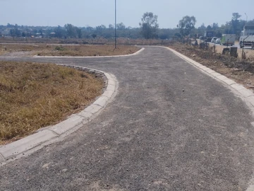 Stands & Residential Land