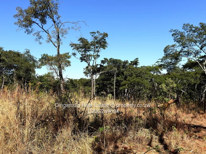 Goromonzi Agricultural 4-Hectare Land
