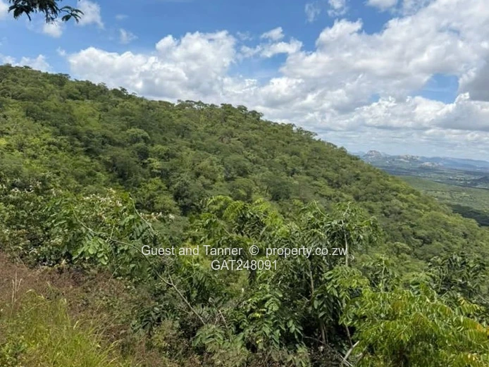 Prime Gold Mining Opportunity: Shamva, Zimbabwe