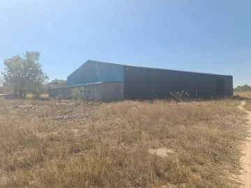 Farm & Agricultural Land